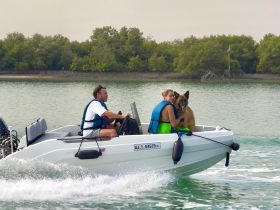 A joyful moment on the water as a couple enjoys a boat ride with their dog, showcasing the fun of boating adventures with pets.