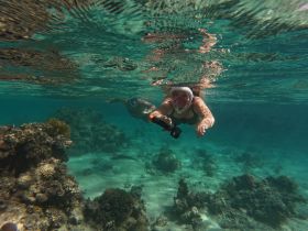 Two snorkelers explore vibrant coral reefs underwater, capturing the beauty of marine life in crystal-clear waters — a perfect adventure for ocean enthusiasts.