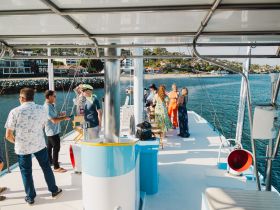 A lively group enjoys a boat party, engaging in conversation and celebration on the deck, with scenic waterfront views in the background.