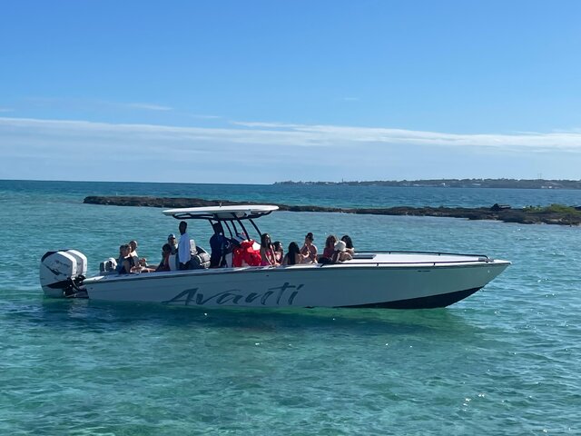 Listing image 1132702