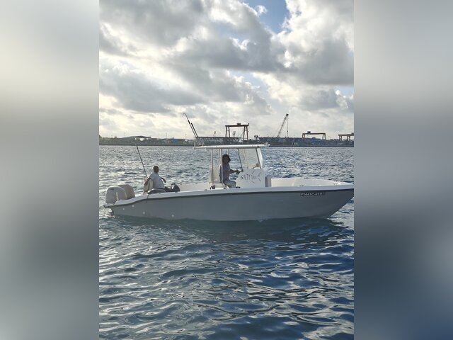 Listing image 1132751
