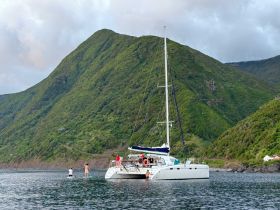 A group enjoys paddleboarding near a catamaran, surrounded by lush green mountains — a perfect setting for water activities and exploration.