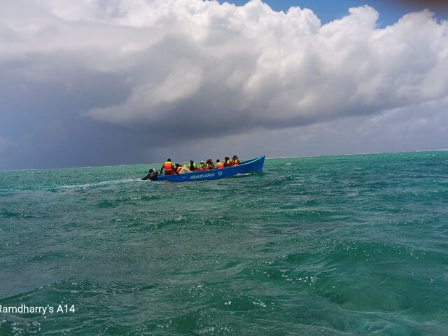 Listing image 1132866