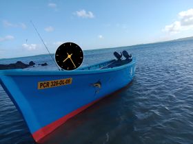 A vibrant blue fishing boat is anchored in shallow waters, showcasing its sleek design and fishing gear, perfect for a day on the water.