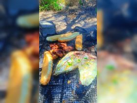 A delicious spread of grilled fish and sausages on a barbecue grill, perfect for outdoor dining experiences on the water.