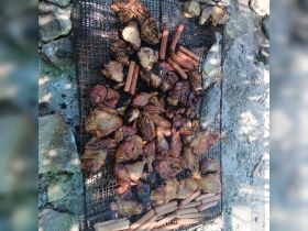 A delicious spread of grilled chicken, hot dogs, and fish laid out on a barbecue grill, perfect for a day of fun on the water.