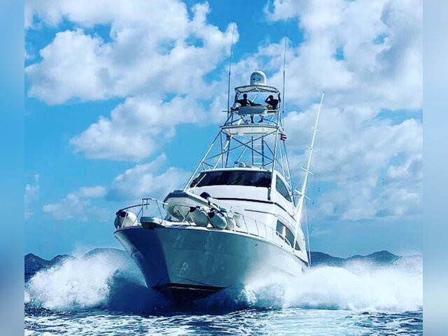 Listing image 1135479