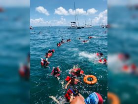 A lively group of snorkelers in life jackets enjoy a fun day in the water, with a catamaran visible in the background — perfect for family adventures and aquatic exploration.