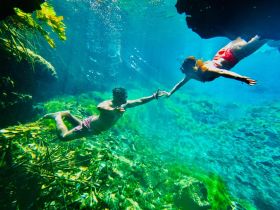 A couple enjoys an underwater adventure, swimming together in crystal-clear waters — a perfect moment for snorkeling enthusiasts.
