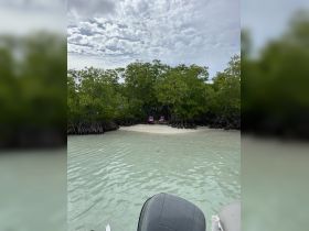 A serene view of a secluded beach surrounded by mangroves, perfect for a relaxing getaway or island exploration.