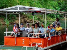 A cheerful group enjoys a scenic river cruise aboard a colorful boat, perfect for exploring nature and creating memorable experiences.