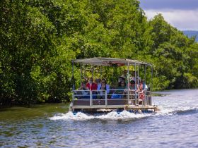 A lively group enjoys a boat tour through mangroves, capturing the essence of adventure and camaraderie on the water.