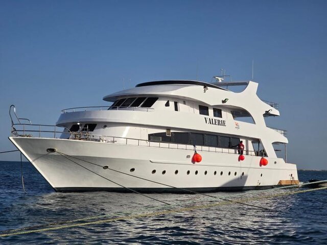 Listing image 1133694