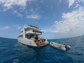 A lively group enjoys a day on a yacht, with some guests swimming and others relaxing on the deck — a perfect setting for ocean adventures and social gatherings.