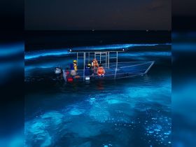 A group of individuals aboard a boat at night, surrounded by glowing waters, creating a magical experience on the ocean. Perfect for nighttime adventures and marine explorations.