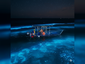 A group of individuals aboard a boat at night, surrounded by stunning bioluminescent waters, creating a magical experience on the ocean.