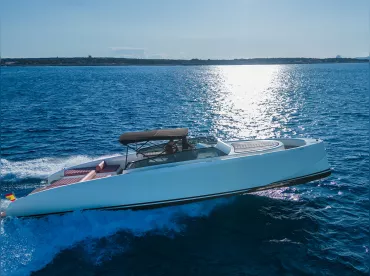 Vanquish 43