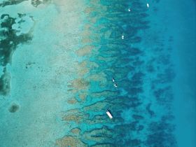 A stunning aerial view of boats navigating over vibrant coral reefs in crystal-clear waters, showcasing the beauty of marine life and ideal for eco-tours or snorkeling adventures.