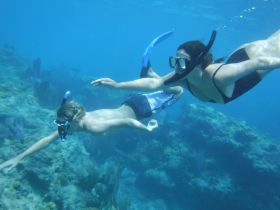 A couple enjoys snorkeling in vibrant underwater scenery, exploring coral reefs and marine life — an unforgettable adventure in the ocean.