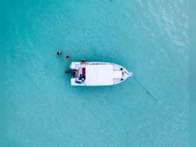 Aerial view of a group enjoying the clear turquoise waters around a boat, perfect for a fun day of swimming and relaxation.