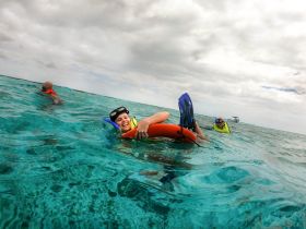 A joyful group enjoys snorkeling in crystal-clear waters, showcasing the excitement of underwater exploration and fun in the sun.