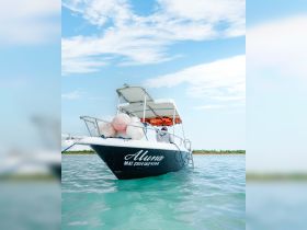 A sleek boat named 'Aluna' is anchored in clear turquoise waters, showcasing its elegant design against a picturesque sky — perfect for exploring coastal destinations.