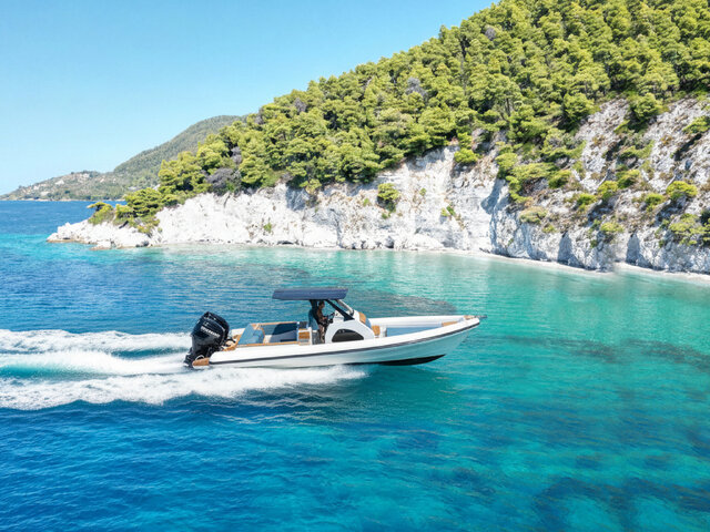 Listing image 1134855
