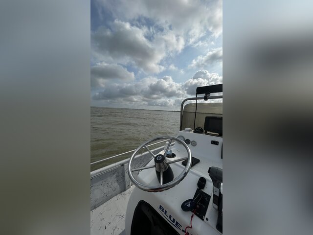 Listing image 1135017