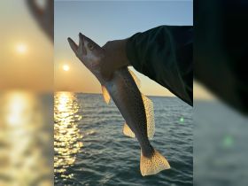 A fisherman proudly holds up a freshly caught fish against the backdrop of a stunning sunset, showcasing the thrill of fishing on the water.