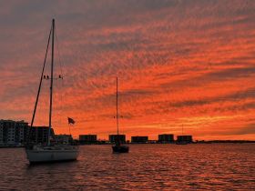 A serene sunset view featuring sailboats silhouetted against a vibrant orange sky, perfect for capturing the beauty of evening on the water.