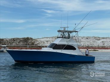 Catching Memories Charters