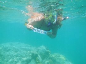 A snorkeler explores the vibrant underwater world of St. Maarten, showcasing the beauty of marine life and clear waters — a perfect adventure for ocean lovers.