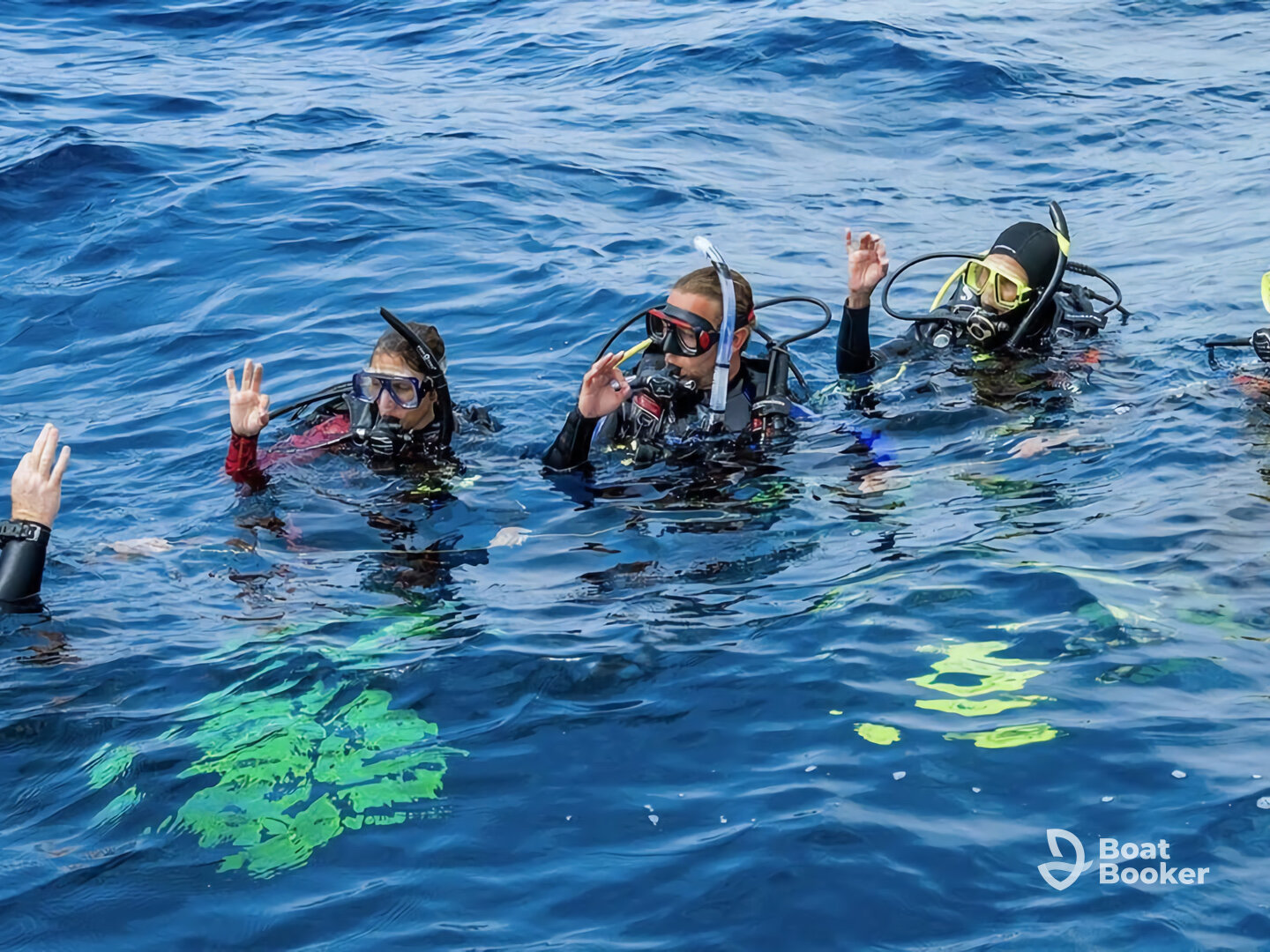 Mr. Diver Red Sea