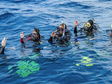 Mr. Diver Red Sea