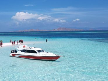 Komodo Amazing Destination