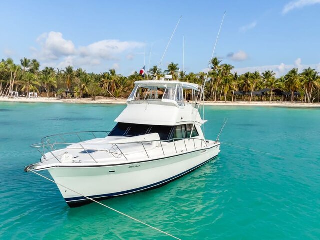 Listing image 1135589