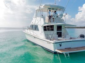 Charter Image