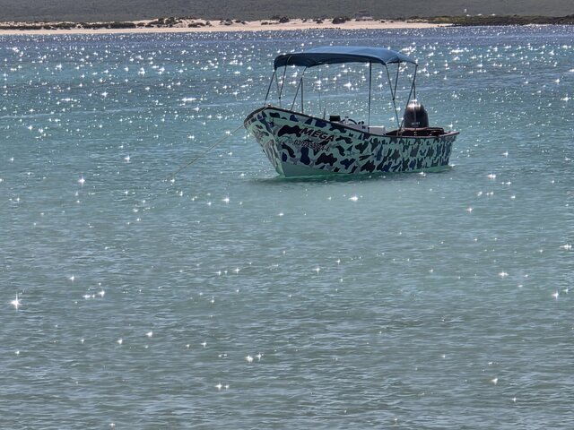 Listing image 1135626