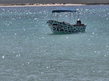 Mega Tours & Sportfishing
