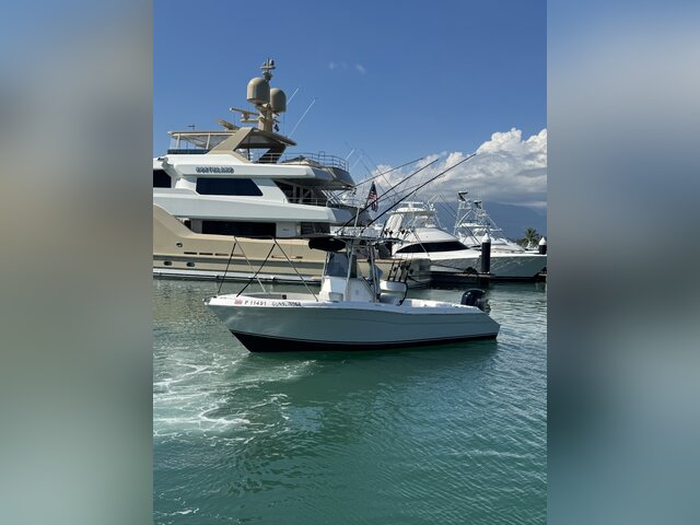 Listing image 1171788