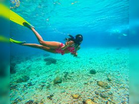 A snorkeler enjoys the vibrant underwater world, showcasing a playful peace sign while exploring the marine life — a perfect snapshot of adventure in the ocean.