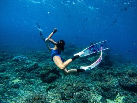 A snorkeler explores vibrant coral reefs underwater, showcasing the beauty of marine life and adventure in the ocean.