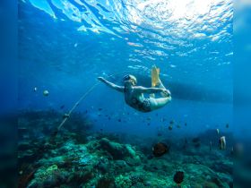 A snorkeler explores vibrant underwater life, surrounded by colorful fish and coral — an unforgettable adventure in the ocean's depths.