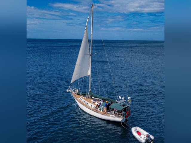 Listing image 1135738