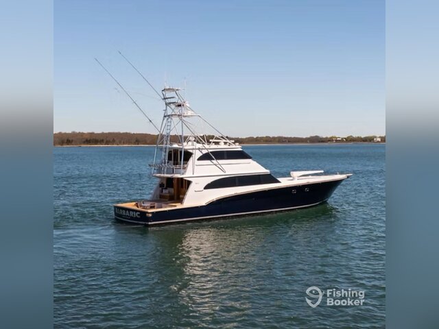Listing image 1135718