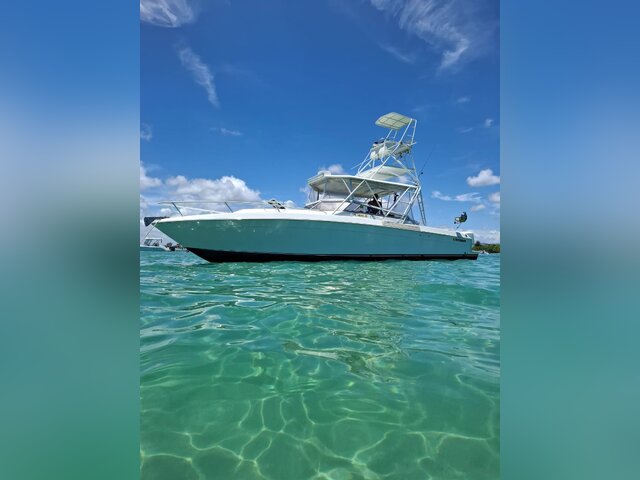 Listing image 1135763