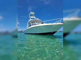 A striking view of a speedboat gliding through crystal-clear waters, showcasing its sleek design against a vibrant blue sky — perfect for water adventures.
