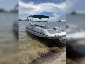 A sleek speedboat named 'SEAGAL' docked in shallow waters, showcasing its stylish design against a scenic backdrop.