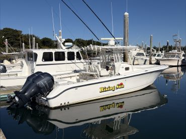Rising Sun Charters
