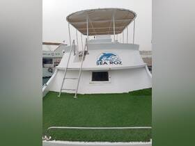 The 'Sea Roz' boat features a spacious upper deck with a ladder and green turf, perfect for relaxing on the water.